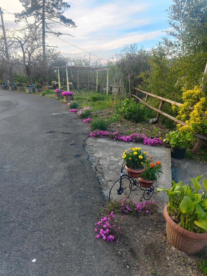 מלון Soviore Il Giardino Dei Pavoni מראה חיצוני תמונה